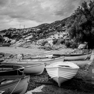 Isola d'Elba