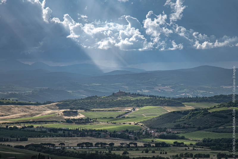 Panorama su Castello Banfi