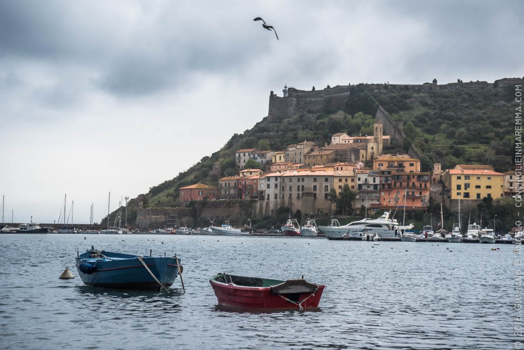 Porto Ercole - Conchiglie in Maremma