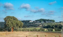 La prima cantina della Maremma