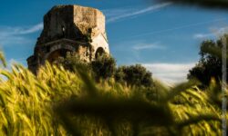 San Bruzio isola di pietra nel verde