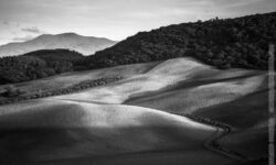 Colline di Montegiovi